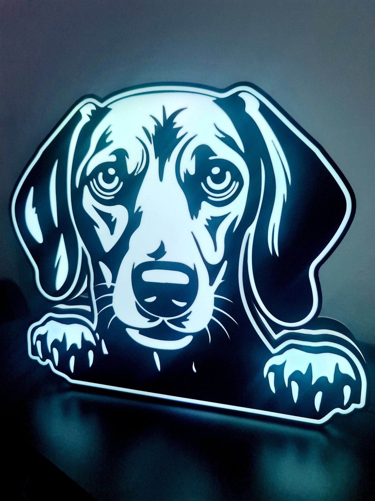 LED-Leuchte mit dem Namen „Perro y Raza“ (Dackel)