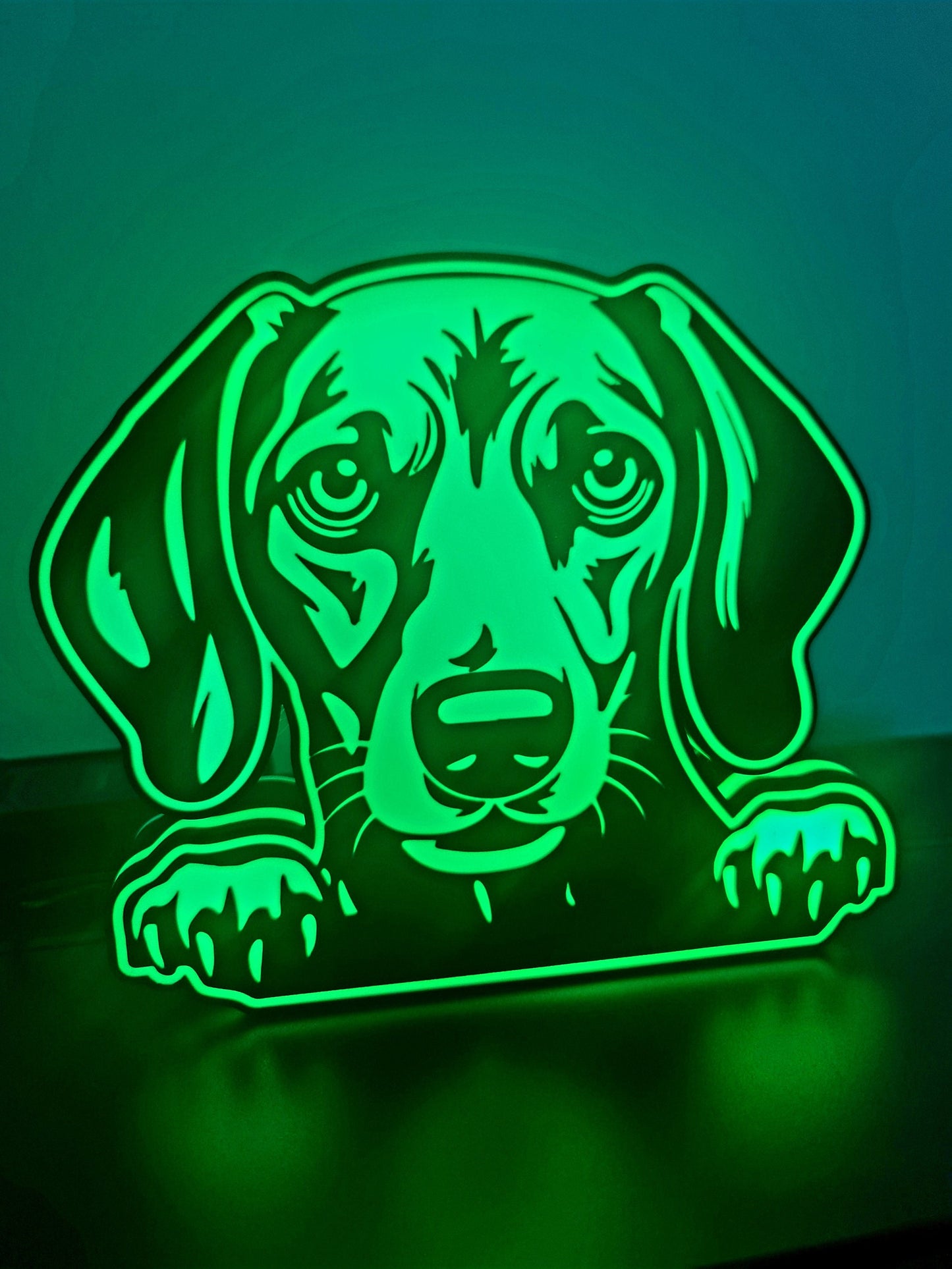 LED-Leuchte mit dem Namen „Perro y Raza“ (Dackel)