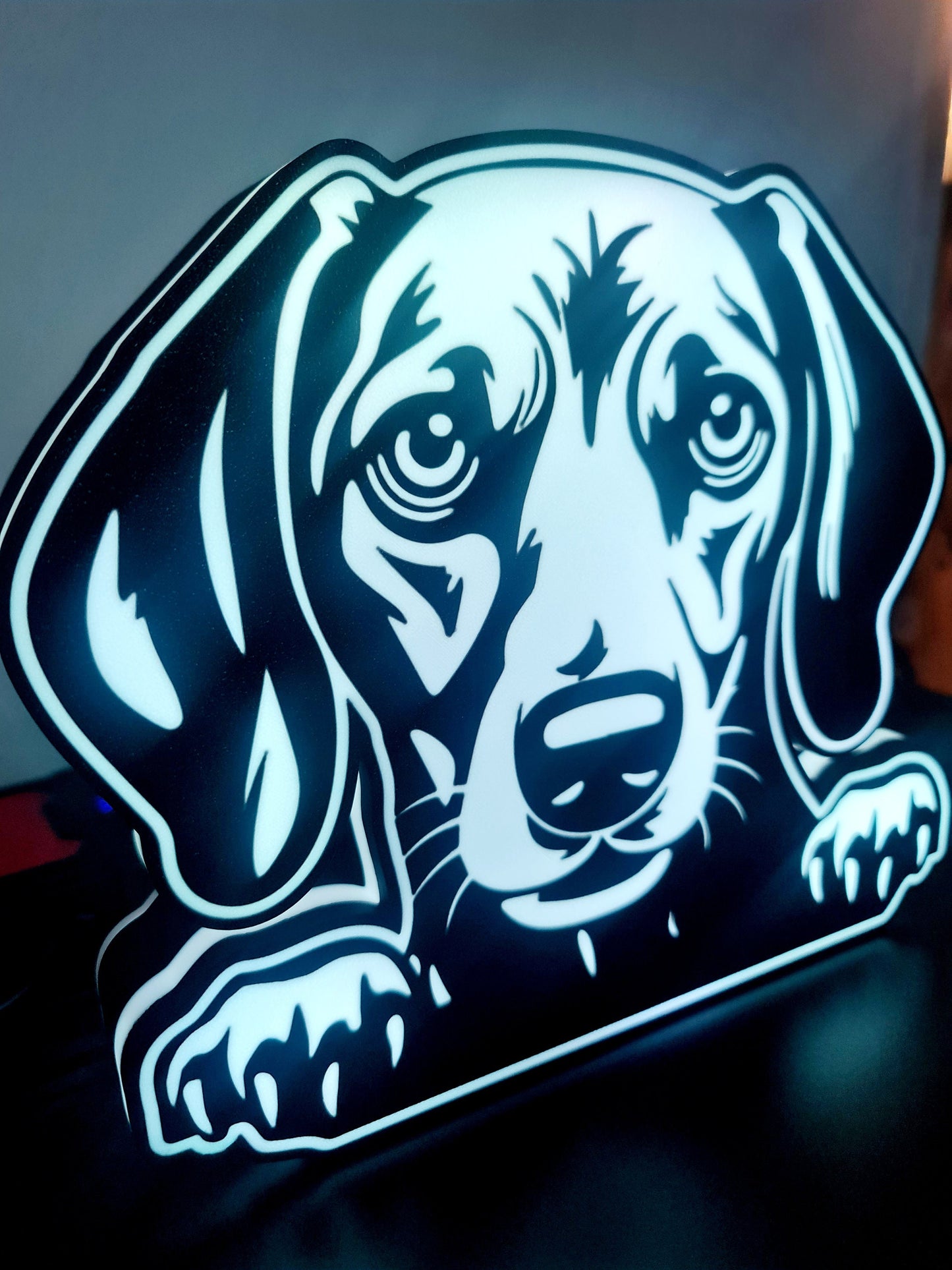 LED-Leuchte mit dem Namen „Perro y Raza“ (Dackel)