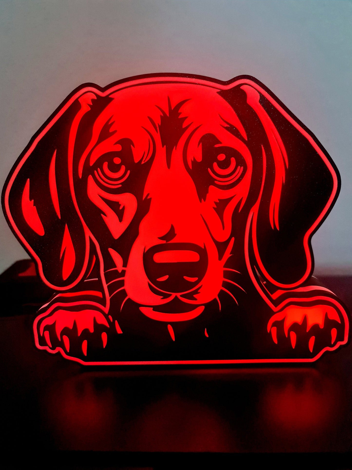 LED-Leuchte mit dem Namen „Perro y Raza“ (Dackel)