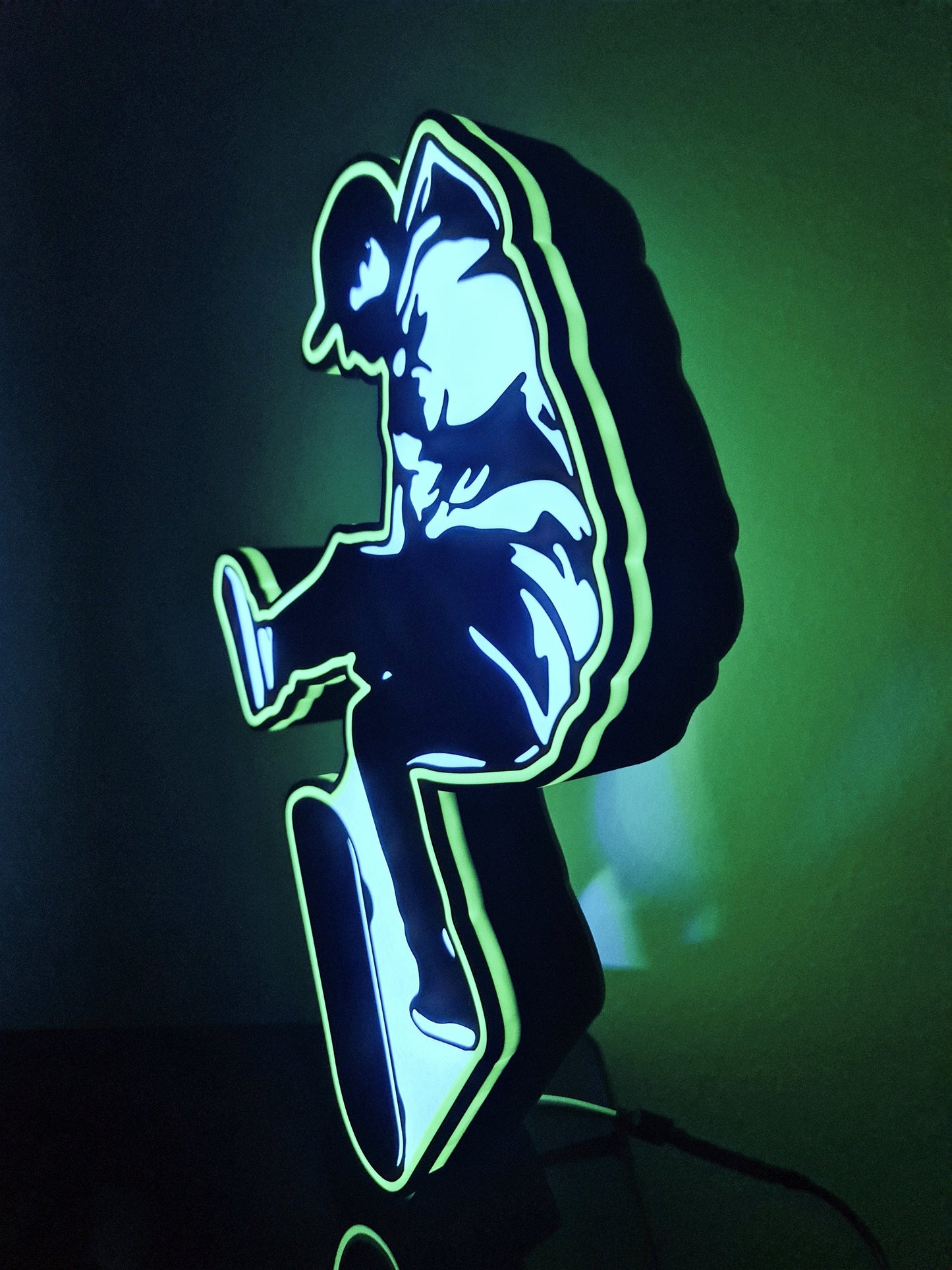 Cool Skateboard LED Light