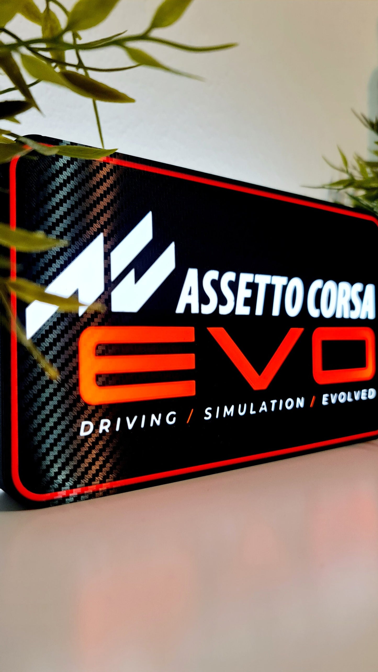 Assetto Corsa EVO Led Light