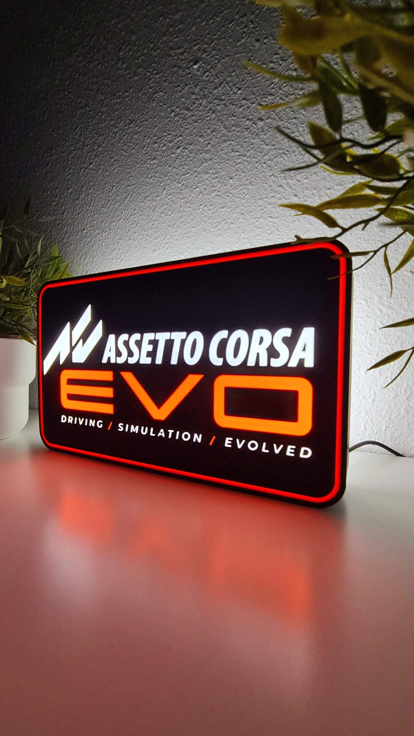 Assetto Corsa EVO Led Light