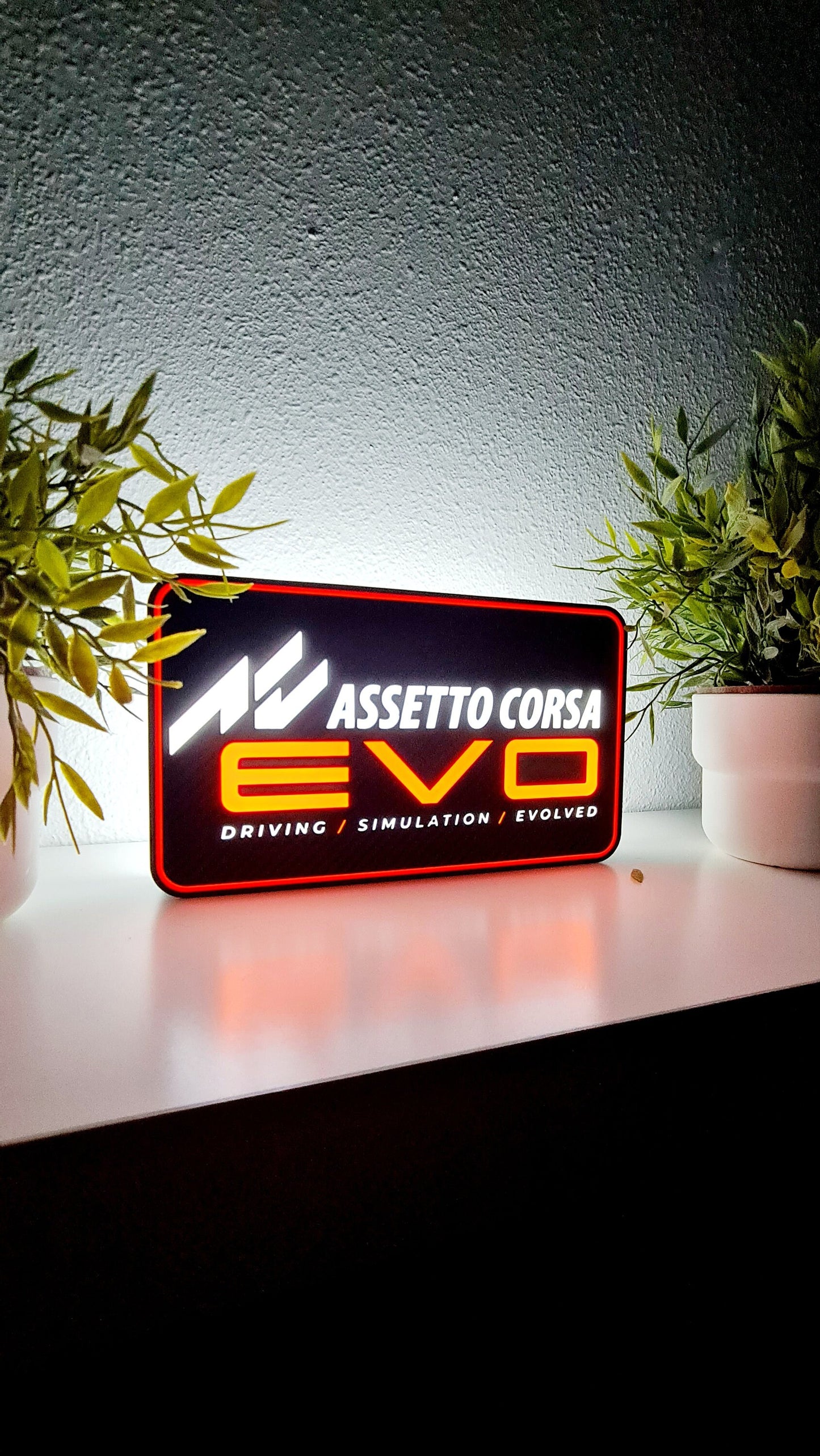 Assetto Corsa EVO Led Light