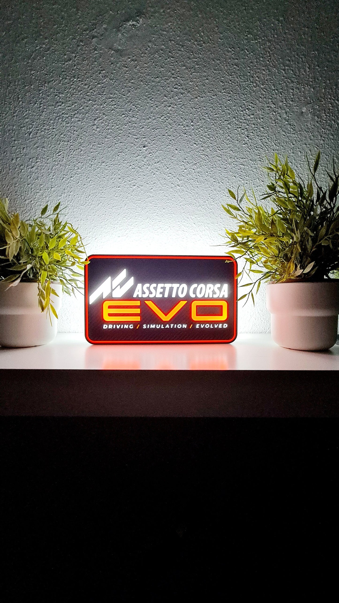 Assetto Corsa EVO Led Light