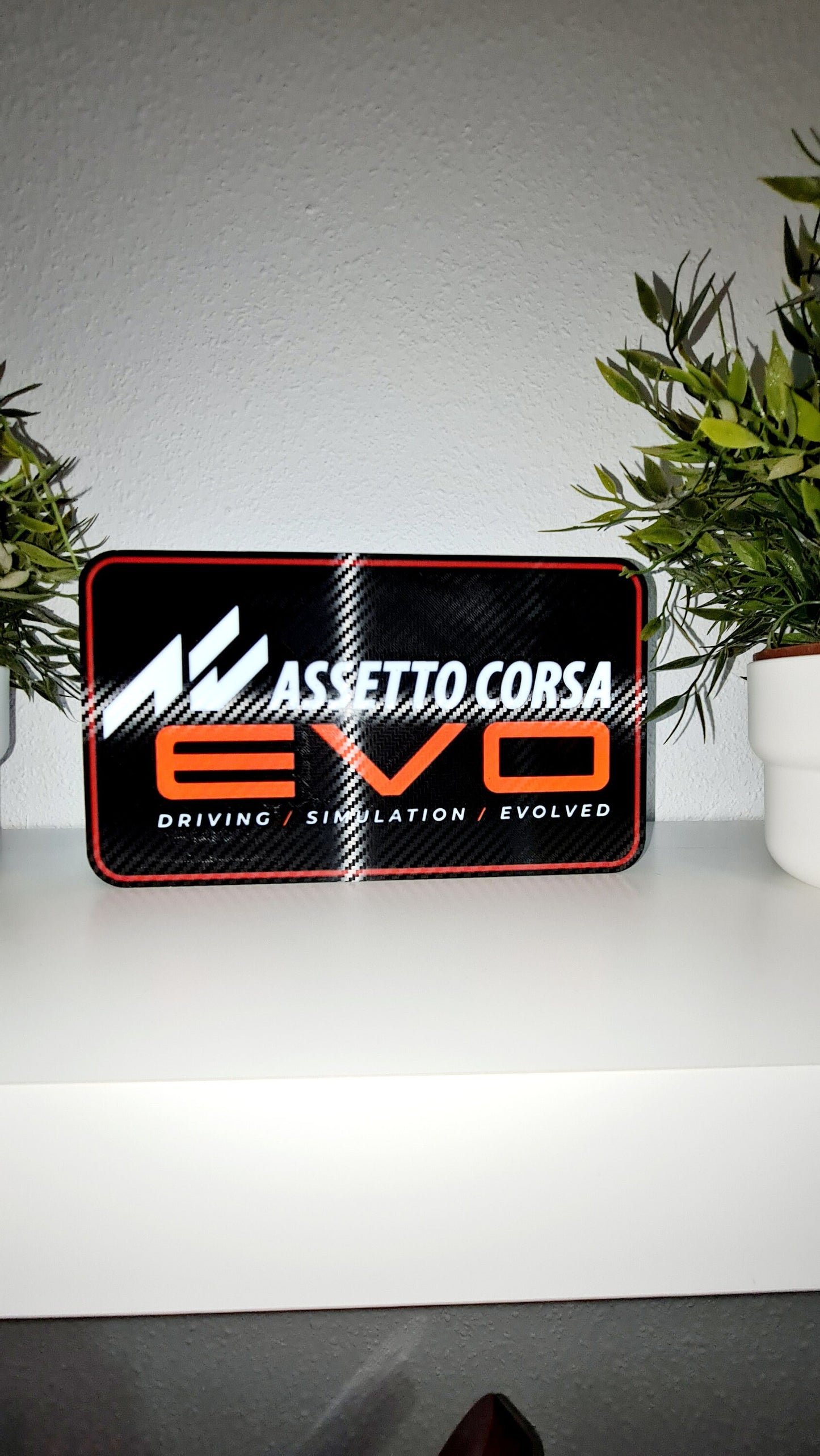 Assetto Corsa EVO Led Light