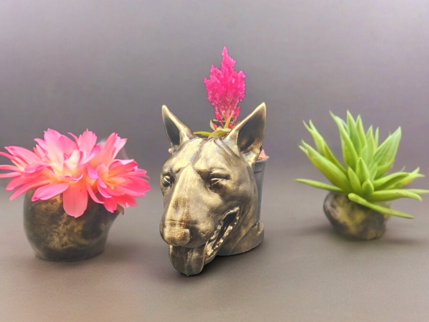 Handmade Bull Terrier Bust Planter|Flower Pot with Antique Gold or Silver Patina