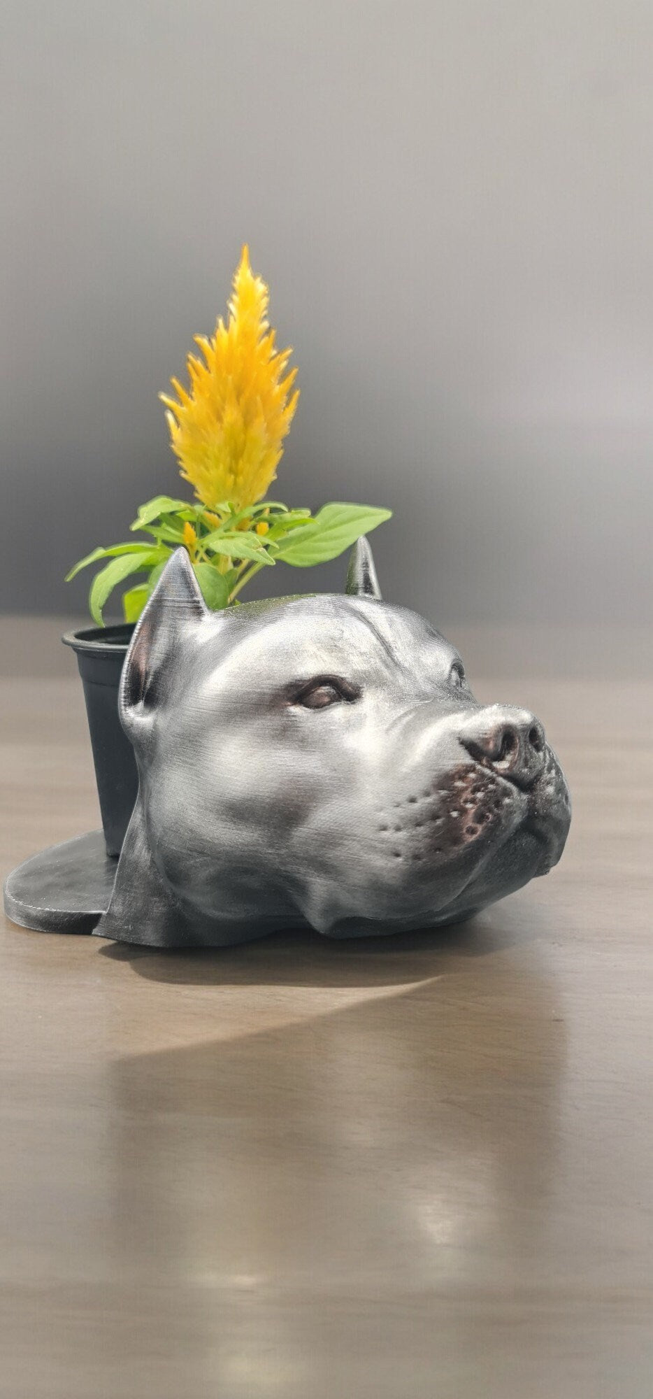 Handmade Pit Bull Bust Planter|Flower Pot with Antique Gold or Silver Patina