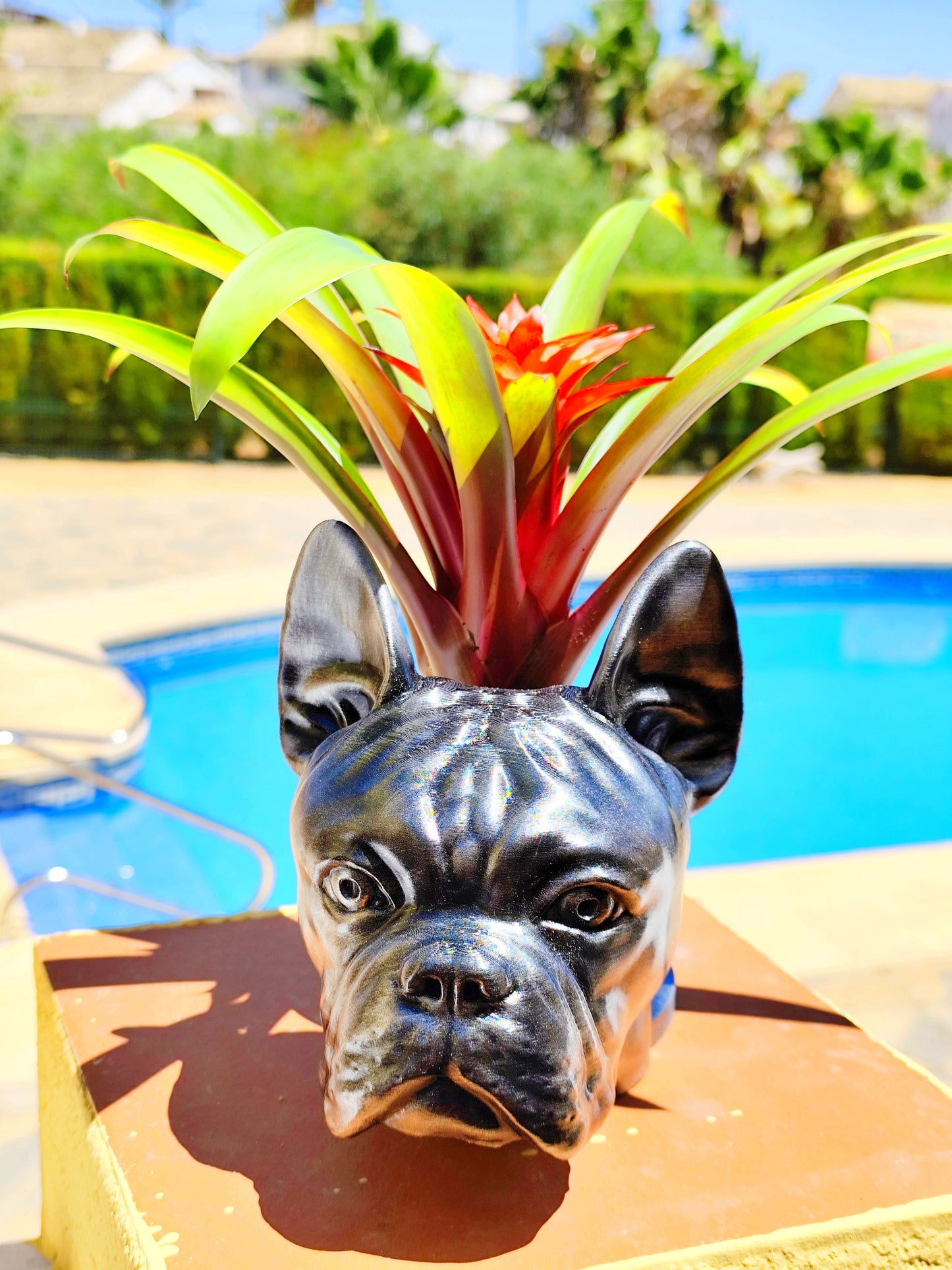 Handgefertigter Übertopf mit Büste einer französischen Bulldogge | Blumentopf mit antiker Gold- oder Silberpatina