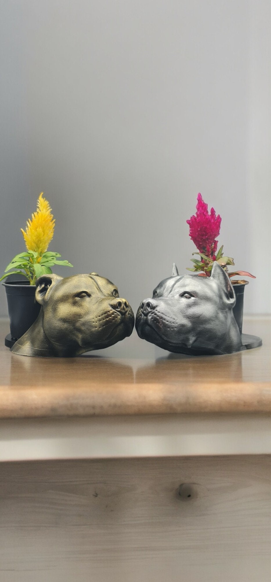 Handmade Pit Bull Bust Planter|Flower Pot with Antique Gold or Silver Patina