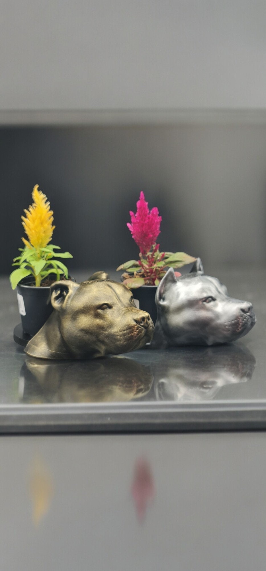 Handmade Pit Bull Bust Planter|Flower Pot with Antique Gold or Silver Patina