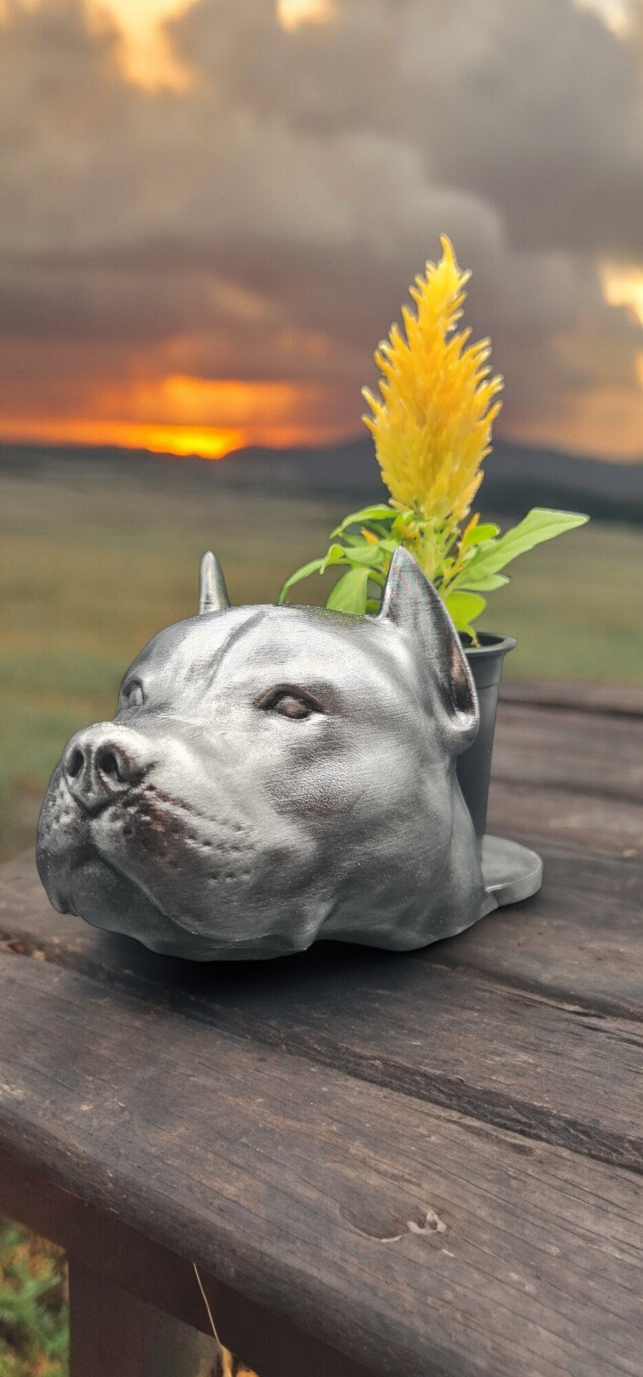 Handmade Pit Bull Bust Planter|Flower Pot with Antique Gold or Silver Patina