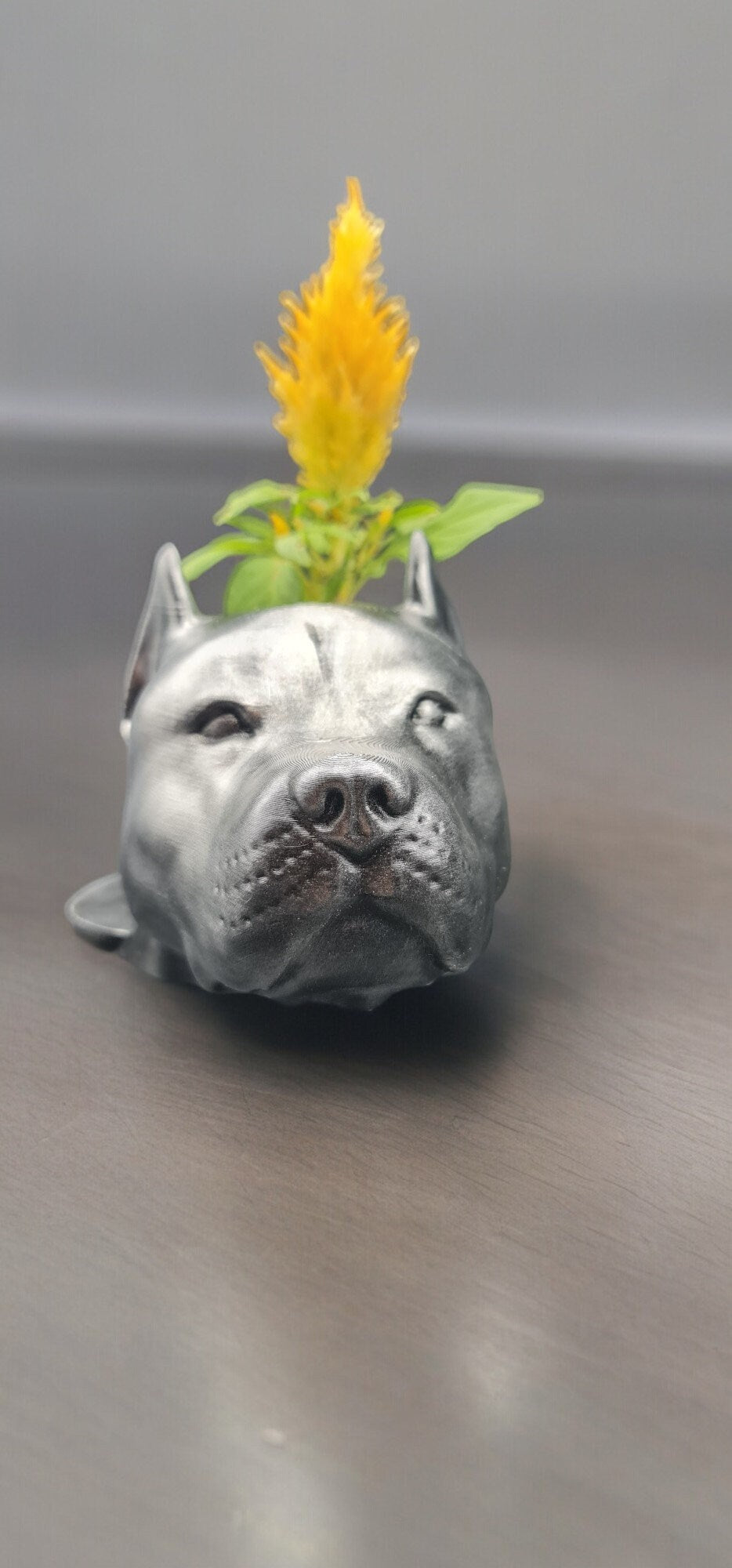 Handmade Pit Bull Bust Planter|Flower Pot with Antique Gold or Silver Patina