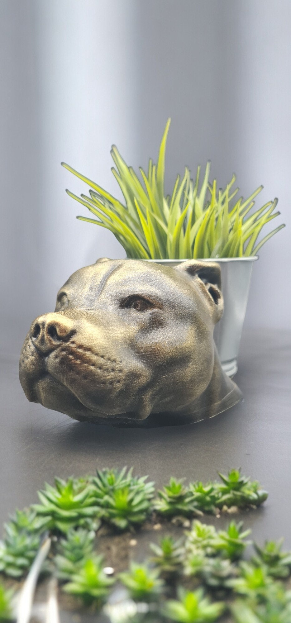 Handmade Pit Bull Bust Planter|Flower Pot with Antique Gold or Silver Patina