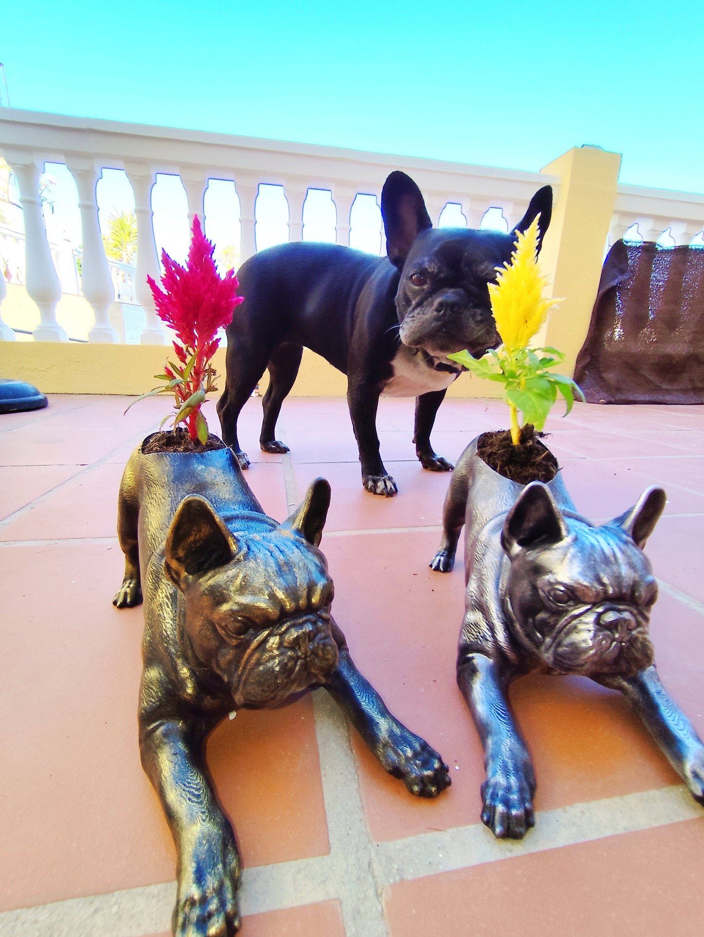 French Bulldog Planter - Capturing Playfulness in Stunning Detail