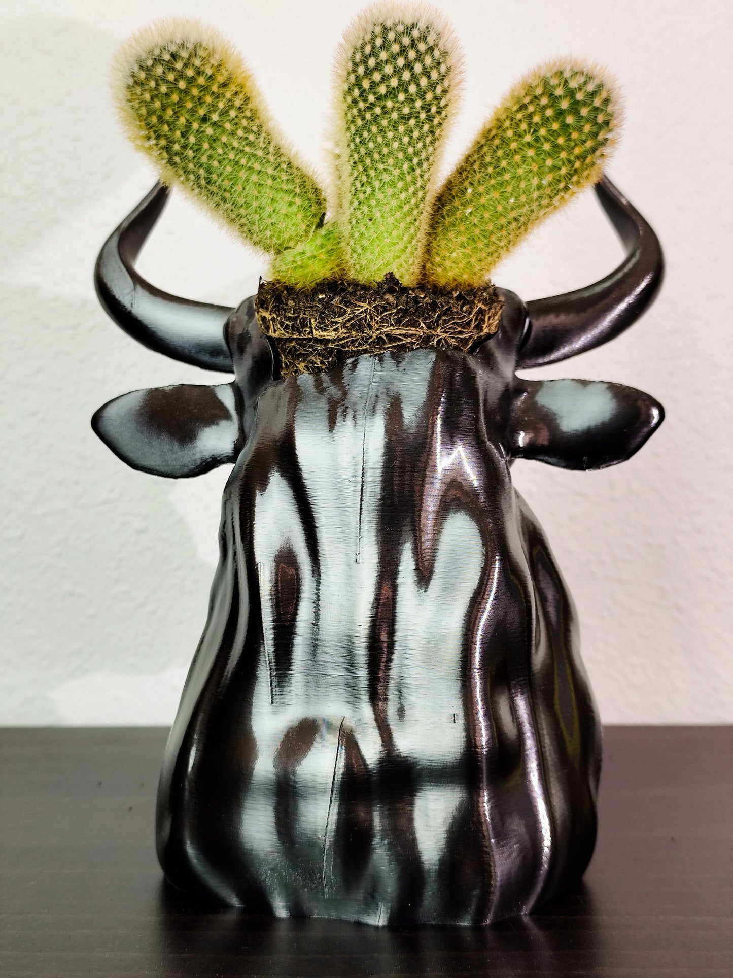 Hand-painted metallic bull head planter with gold accents, designed for holding succulents, displayed on a dark wooden surface