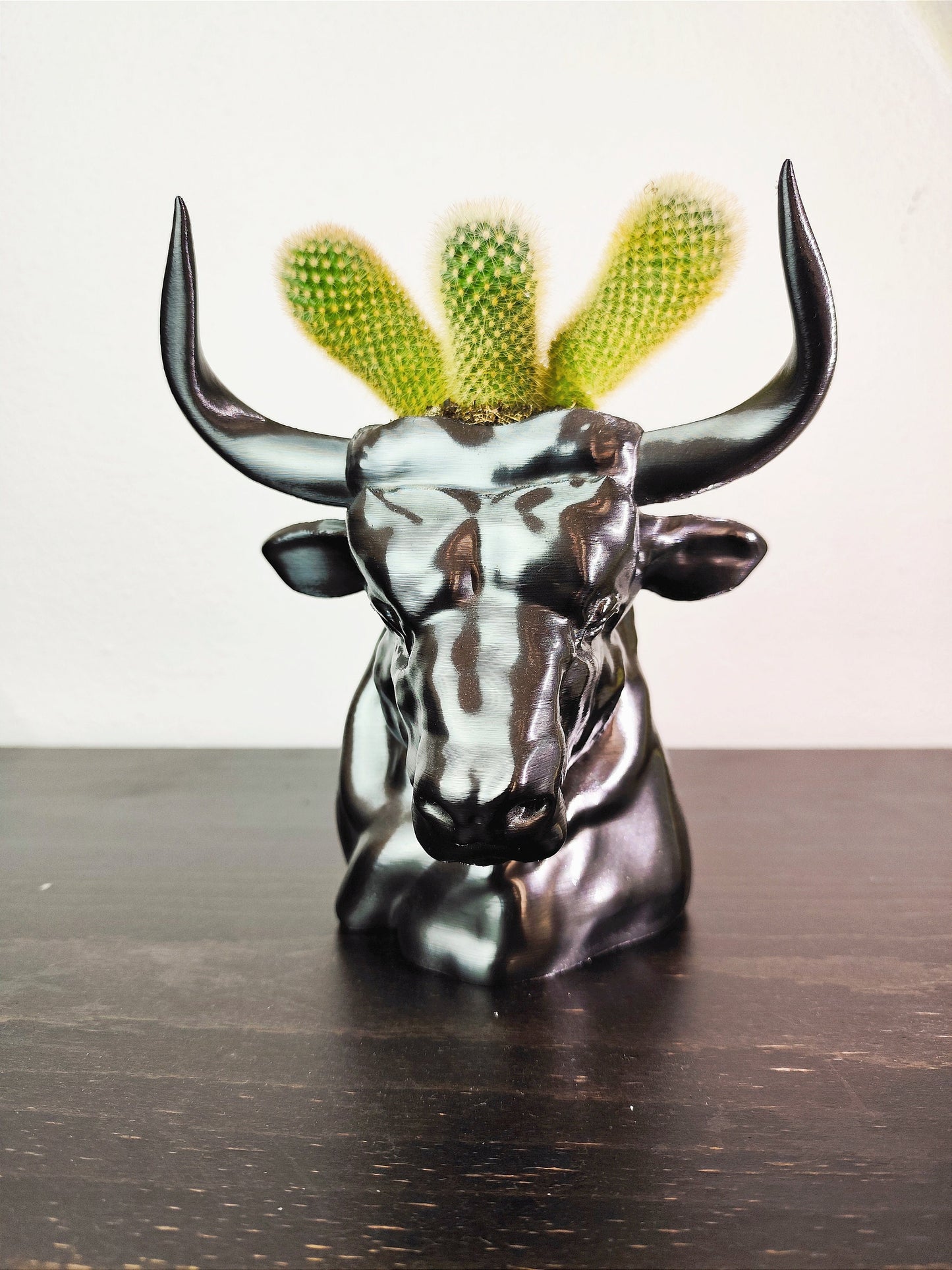 Hand-painted metallic bull head planter with gold accents, designed for holding succulents, displayed on a dark wooden surface