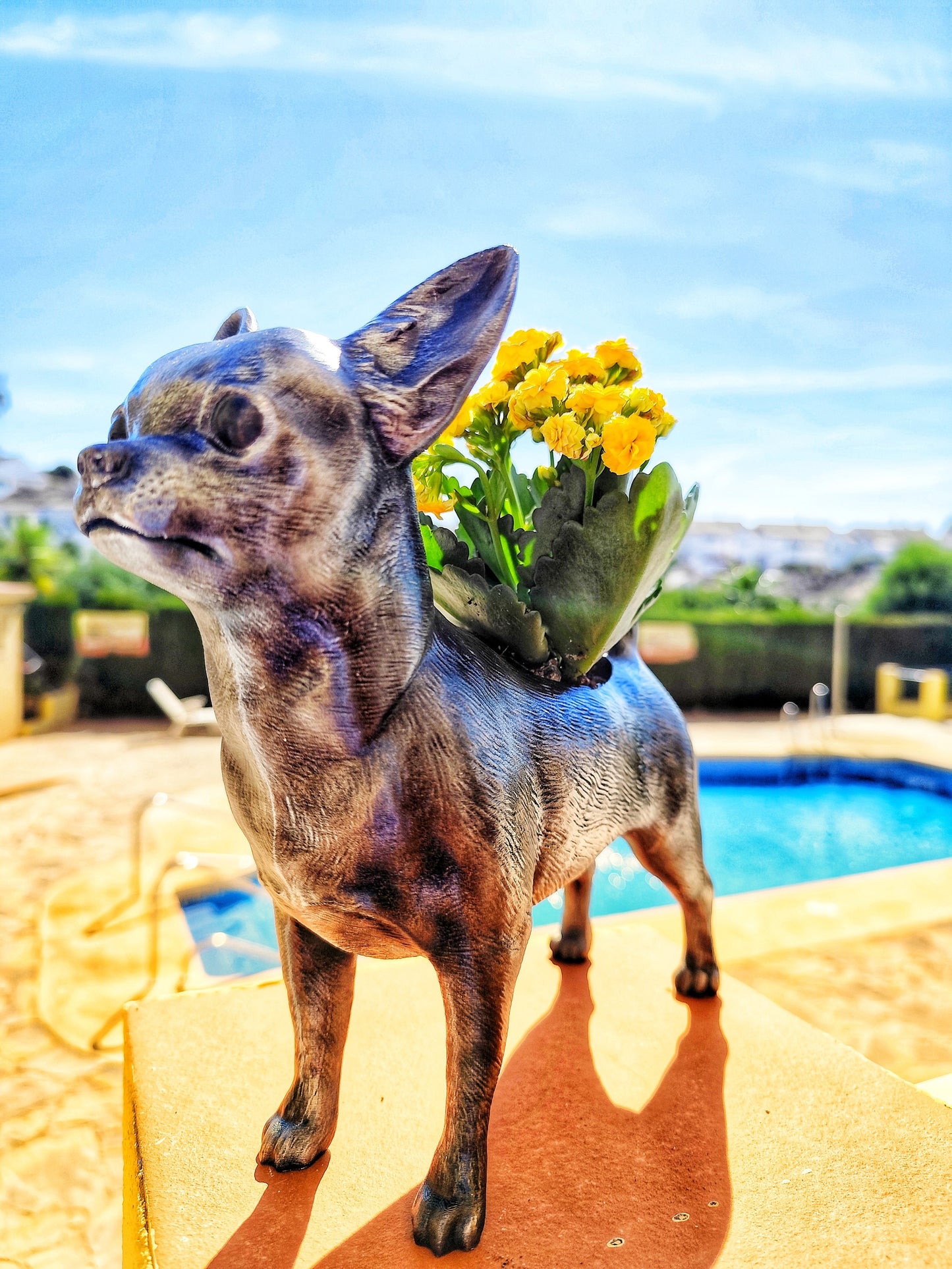 Hand-Painted Chihuahua Planter – Silver Patina, Gold, or Bronze Finish Dog Lover's Succulent Pot