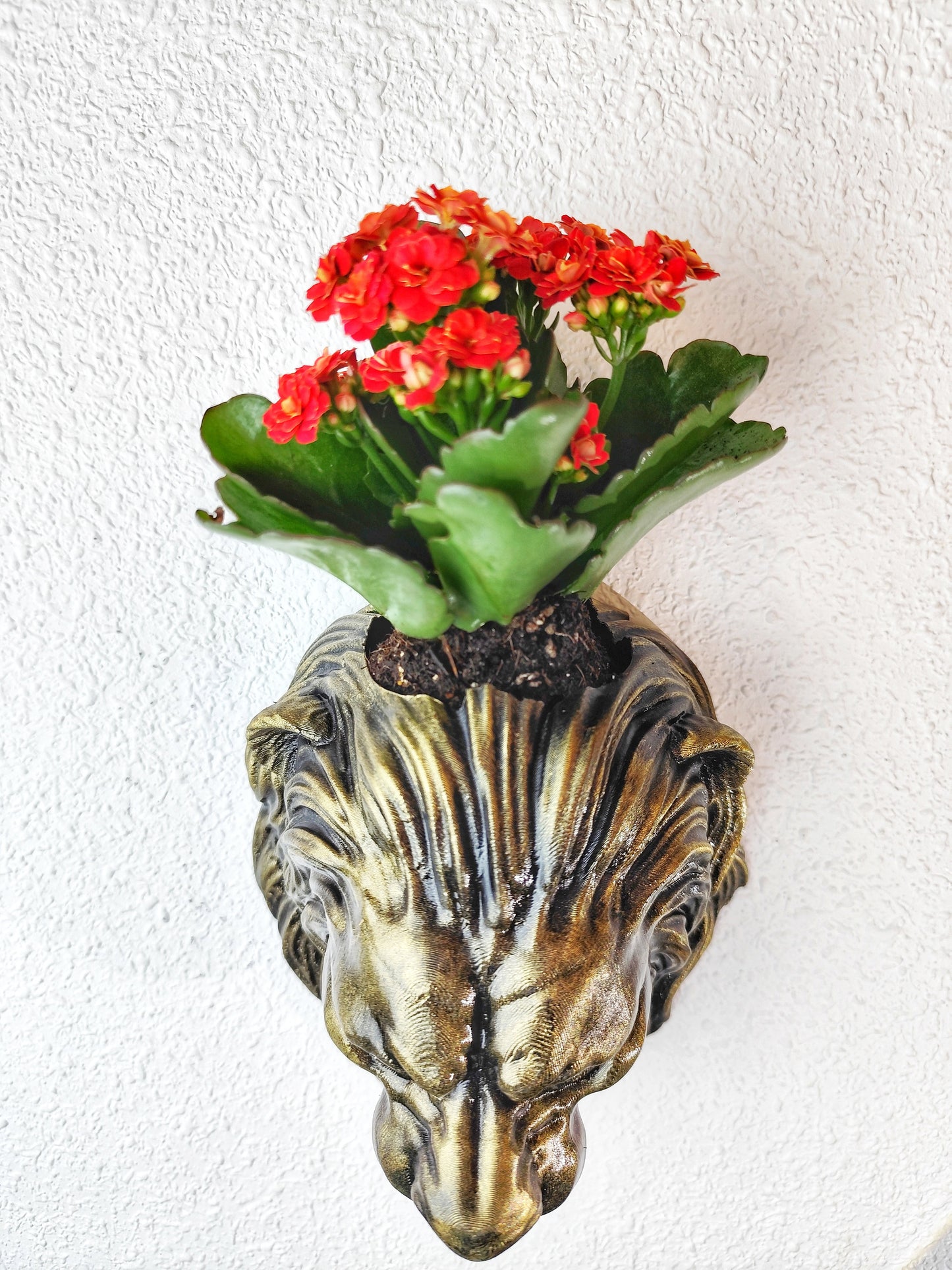 Gold Patina Lion Head Wall Planter