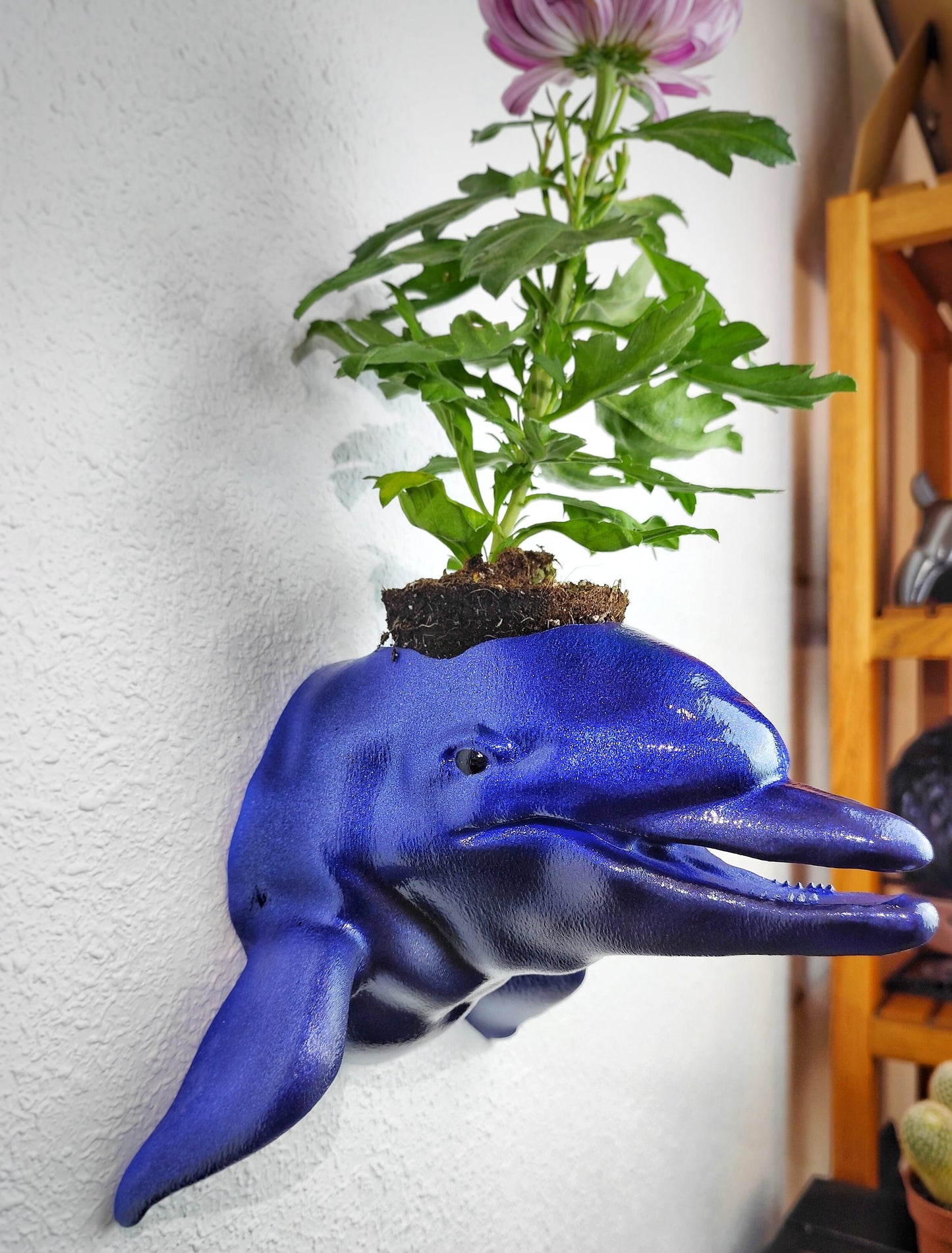 Dolphin Head Wall Planter