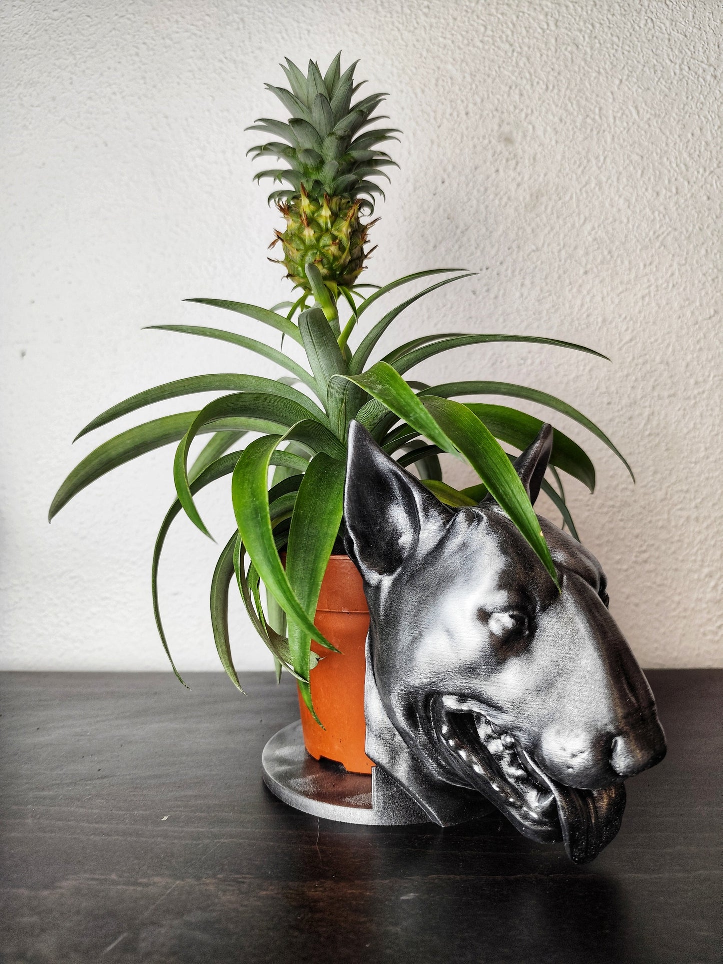 Handmade Bull Terrier Bust Planter|Flower Pot with Antique Gold or Silver Patina