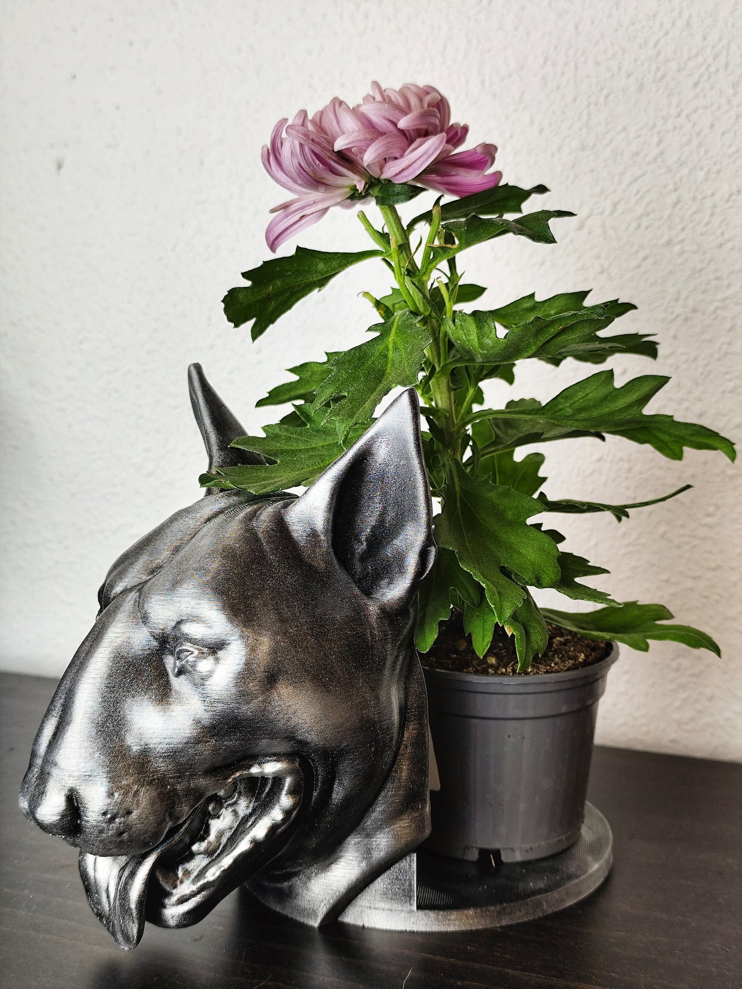 Handmade Bull Terrier Bust Planter|Flower Pot with Antique Gold or Silver Patina