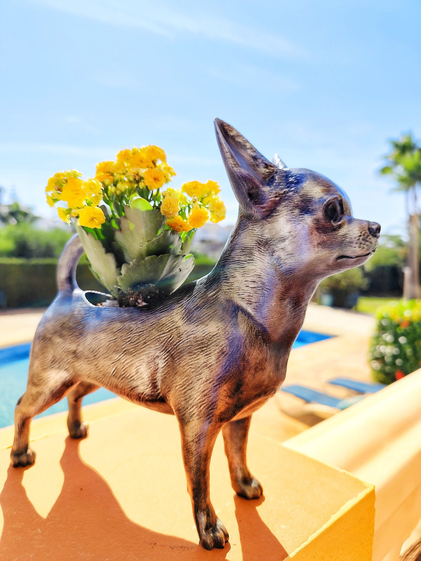 Hand-Painted Chihuahua Planter – Silver Patina, Gold, or Bronze Finish Dog Lover's Succulent Pot