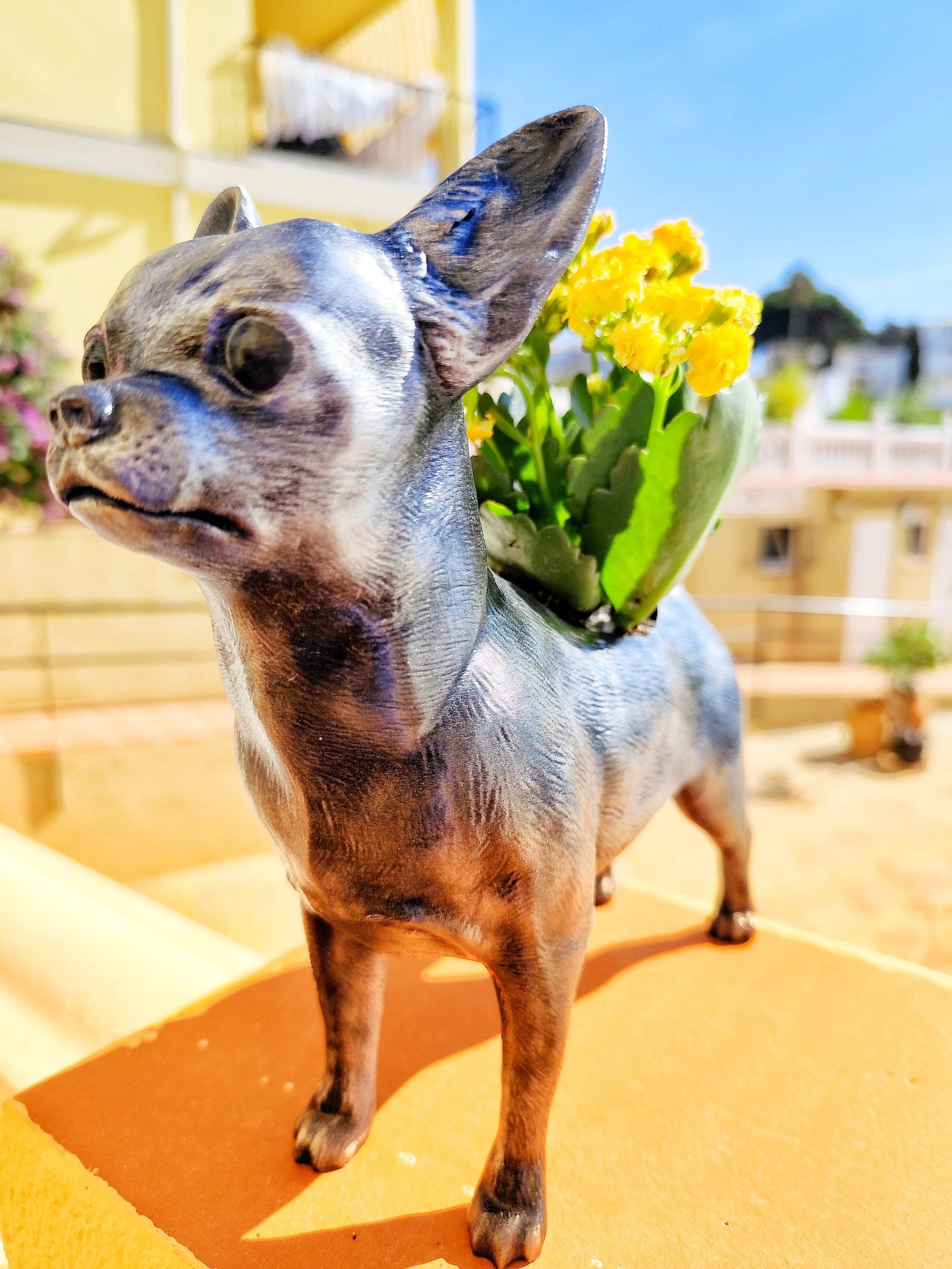 Hand-Painted Chihuahua Planter – Silver Patina, Gold, or Bronze Finish Dog Lover's Succulent Pot