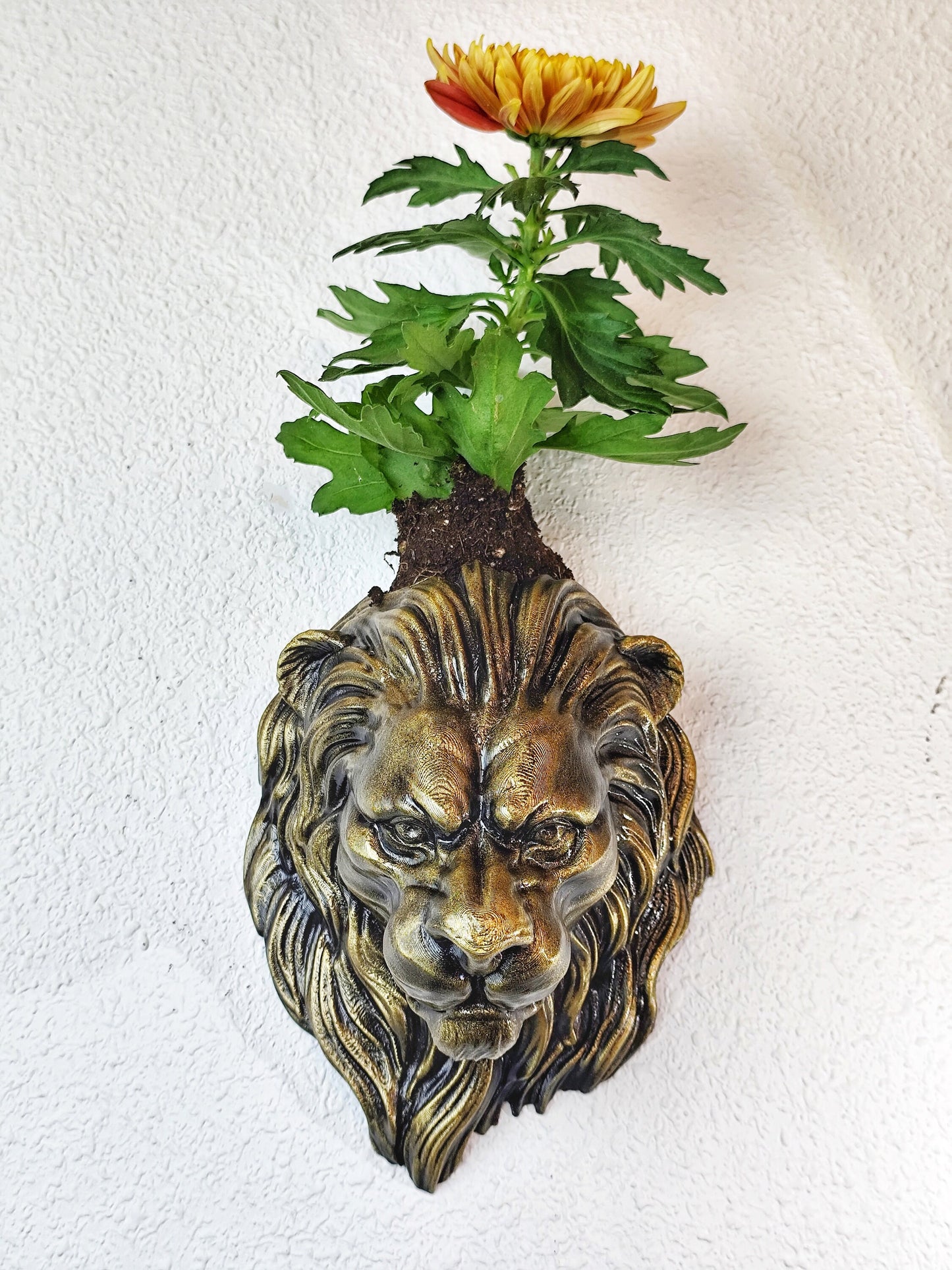 Gold Patina Lion Head Wall Planter