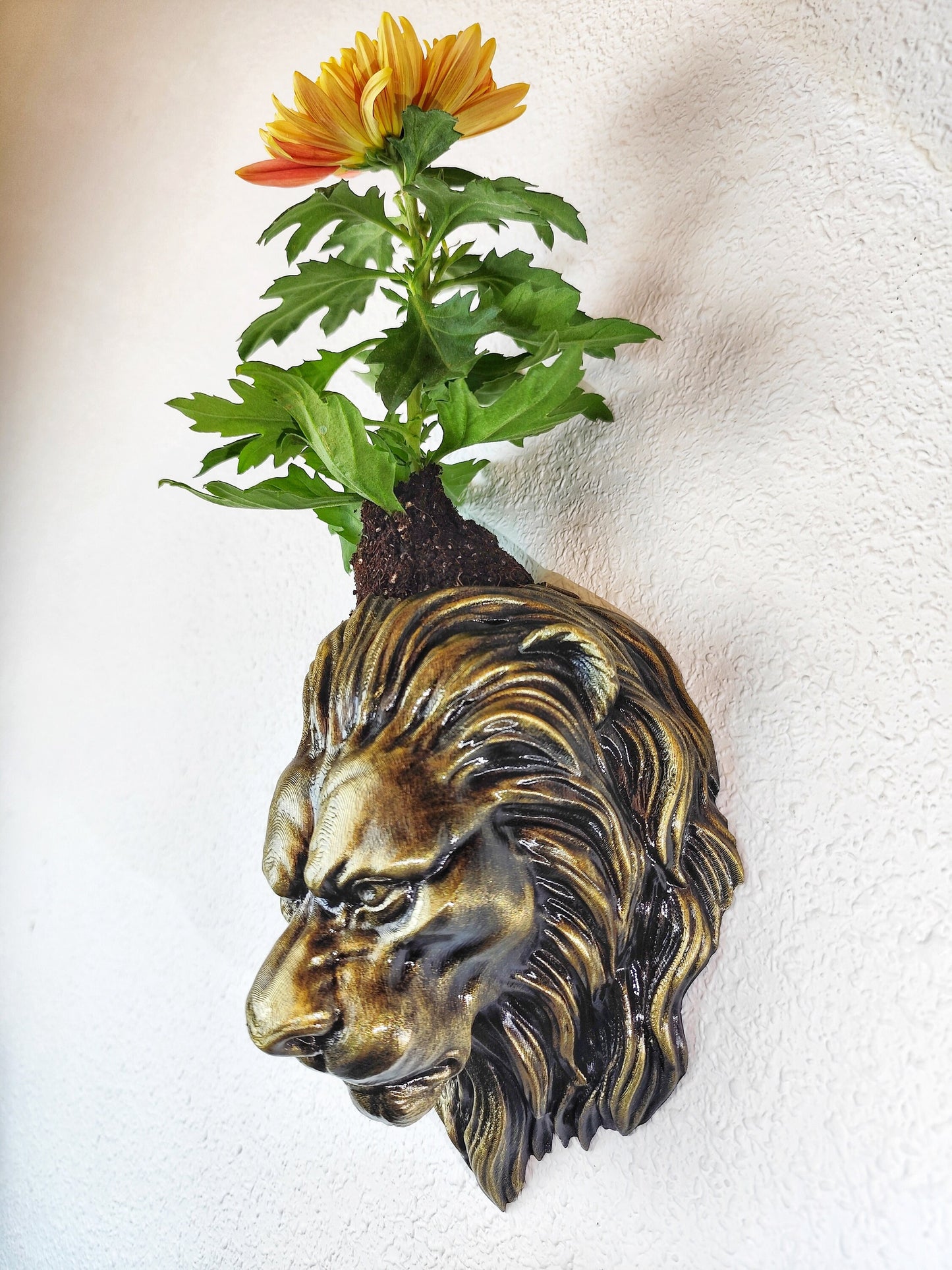 Gold Patina Lion Head Wall Planter