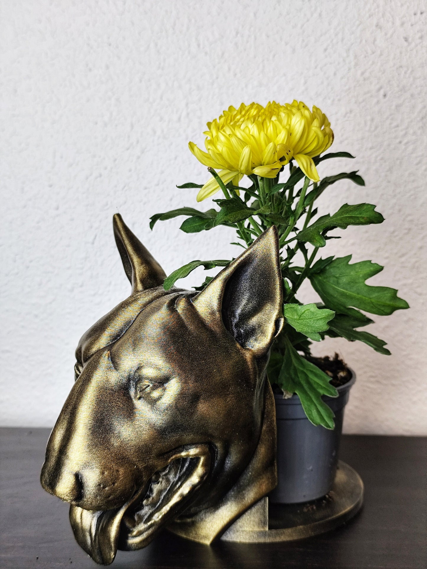 Handmade Bull Terrier Bust Planter|Flower Pot with Antique Gold or Silver Patina